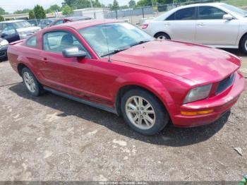  Salvage Ford Mustang