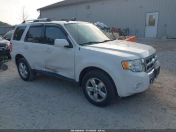  Salvage Ford Escape