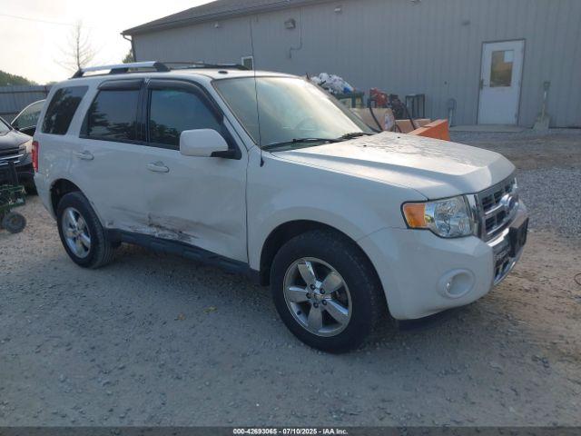  Salvage Ford Escape