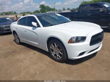  Salvage Dodge Charger