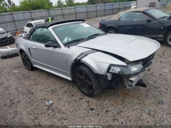  Salvage Ford Mustang