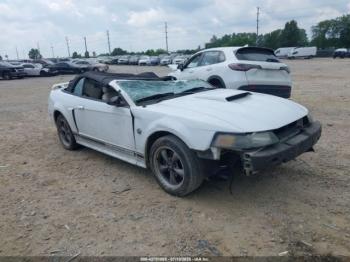  Salvage Ford Mustang