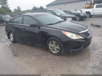  Salvage Hyundai SONATA