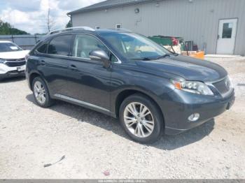  Salvage Lexus RX