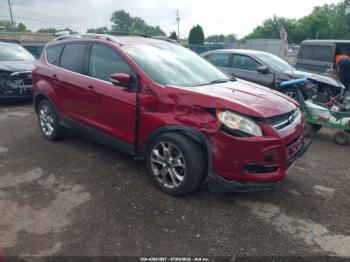  Salvage Ford Escape