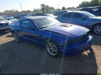  Salvage Ford Mustang