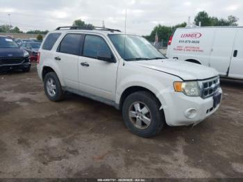  Salvage Ford Escape