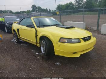  Salvage Ford Mustang