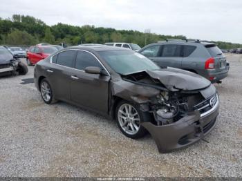  Salvage Nissan Maxima