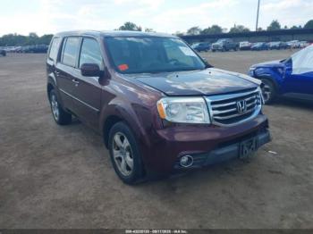  Salvage Honda Pilot