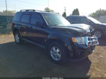  Salvage Ford Escape