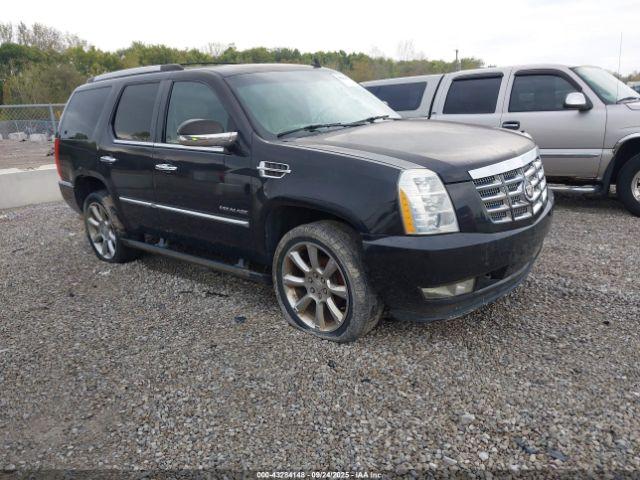  Salvage Cadillac Escalade