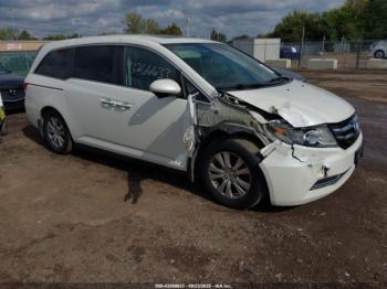  Salvage Honda Odyssey