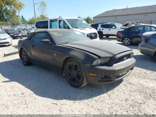  Salvage Ford Mustang