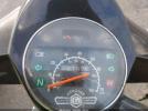 Genuine Scooter Co. Stella 4-stroke Image 5