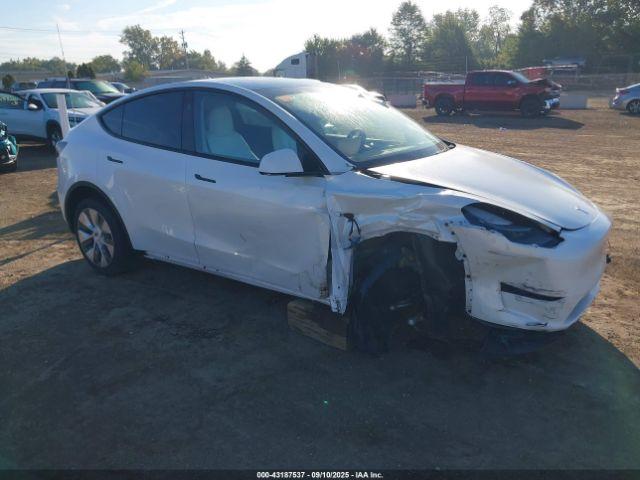  Salvage Tesla Model Y