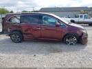 Honda Odyssey Image 14