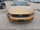 Ford Mustang Image 6