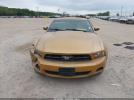 Ford Mustang Image 12
