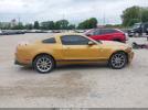 Ford Mustang Image 15