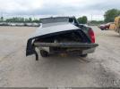 Chevrolet Silverado 1500 Work Truck Image 14