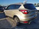 Ford Escape Titanium Image 2