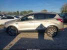 Ford Escape Titanium Image 15