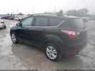 Ford Escape Sel Image 6