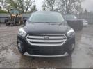 Ford Escape Sel Image 4