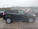 Ford Escape Sel Image 12