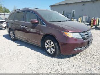 Salvage Honda Odyssey
