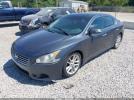 Nissan Maxima 3.5 Sv Image 4