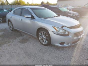  Salvage Nissan Maxima