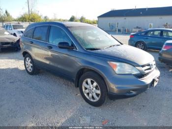  Salvage Honda CR-V