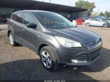  Salvage Ford Escape