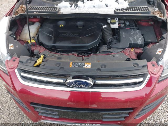 Ford Escape Titanium Image 6