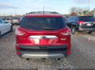 Ford Escape Titanium Image 15