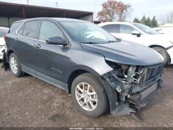  Salvage Chevrolet Equinox