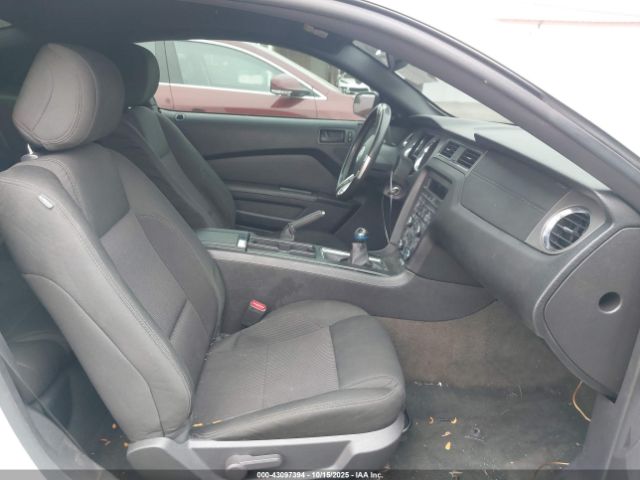 Ford Mustang Gt Image 8