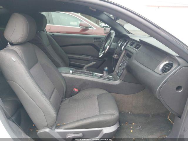 Ford Mustang Gt Image 8