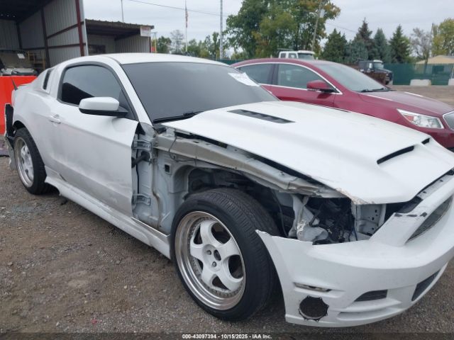 Ford Mustang Gt Image 15