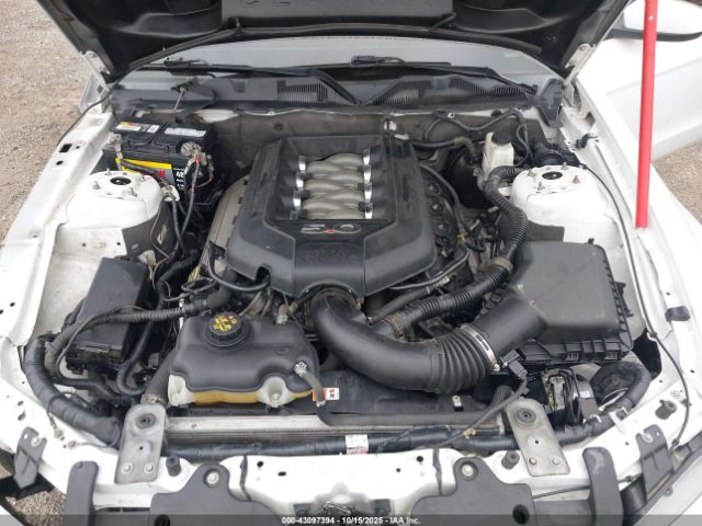 Ford Mustang Gt Image 5