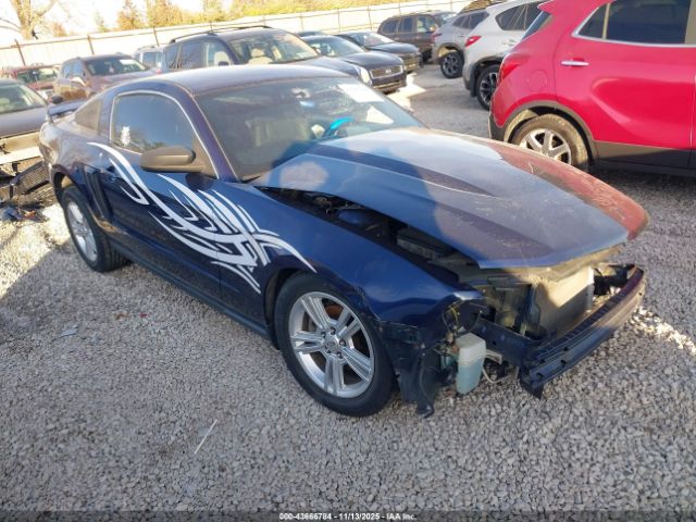 Ford Mustang Image 1