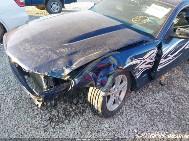 Ford Mustang Image 6