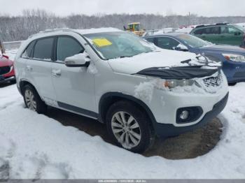  Salvage Kia Sorento