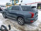 Hyundai PALISADE Sel Image 2