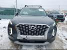 Hyundai PALISADE Sel Image 3