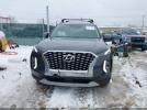 Hyundai PALISADE Sel Image 10