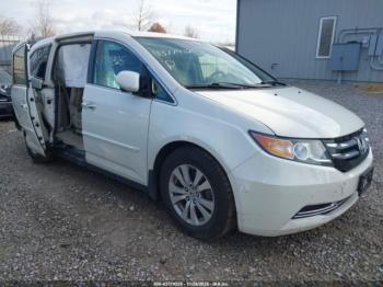  Salvage Honda Odyssey