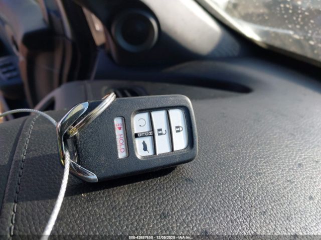 Honda Passport Awd Elite Image 6